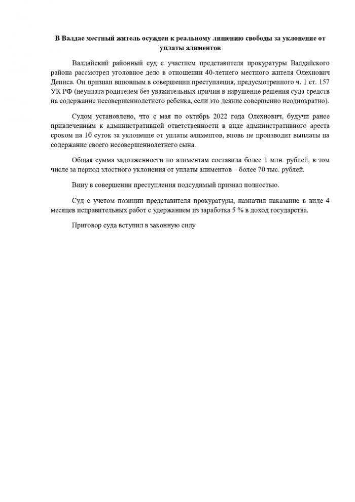 В Валдае местный житель осужден к реальному лишению свободы за уклонение от уплаты алиментов